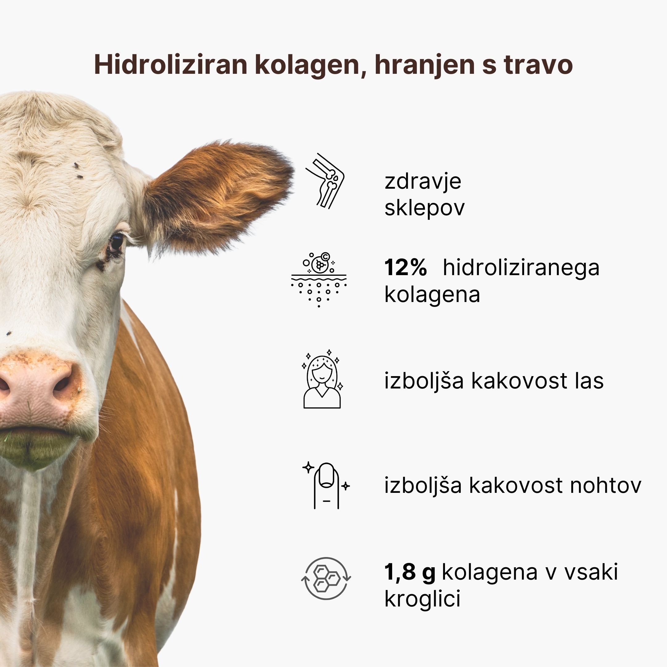 (Slovinština) (40)